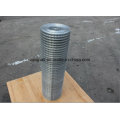 Electro Galvanized Welded Wire Mesh (XA-400)